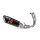 Aprilia RS 660, Tuono 660 2021-24 Racing Line (Carbonio)