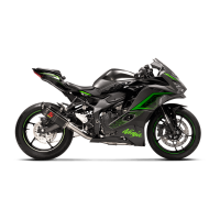 Kawasaki Ninja ZX-25R 2023-25 Racing Line (Carbon)