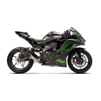 Kawasaki Ninja ZX-25R/4R 2023-25 Racing Line (Carbon) - Etzi's