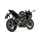 Kawasaki Ninja ZX-25R 2023-25 Slip-On Line (Carbon)