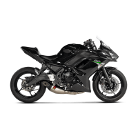 Kawasaki Ninja 650 2023-25 Racing Line (Titanium)