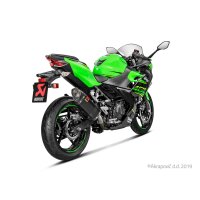 Kawasaki Ninja250+400/Z400 2018-20 Slip-On Line (Carbon)