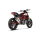 Collettore completo - Indian FTR 1200/S 2019-20